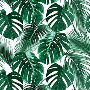 Meet your Posher, Savannah